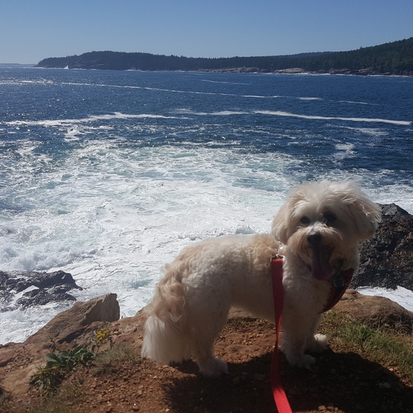 ❤Offers Welcome❤️ - Picture 8 of 11